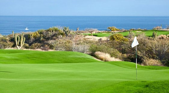 Cabo Real Golf Course Los Cabos